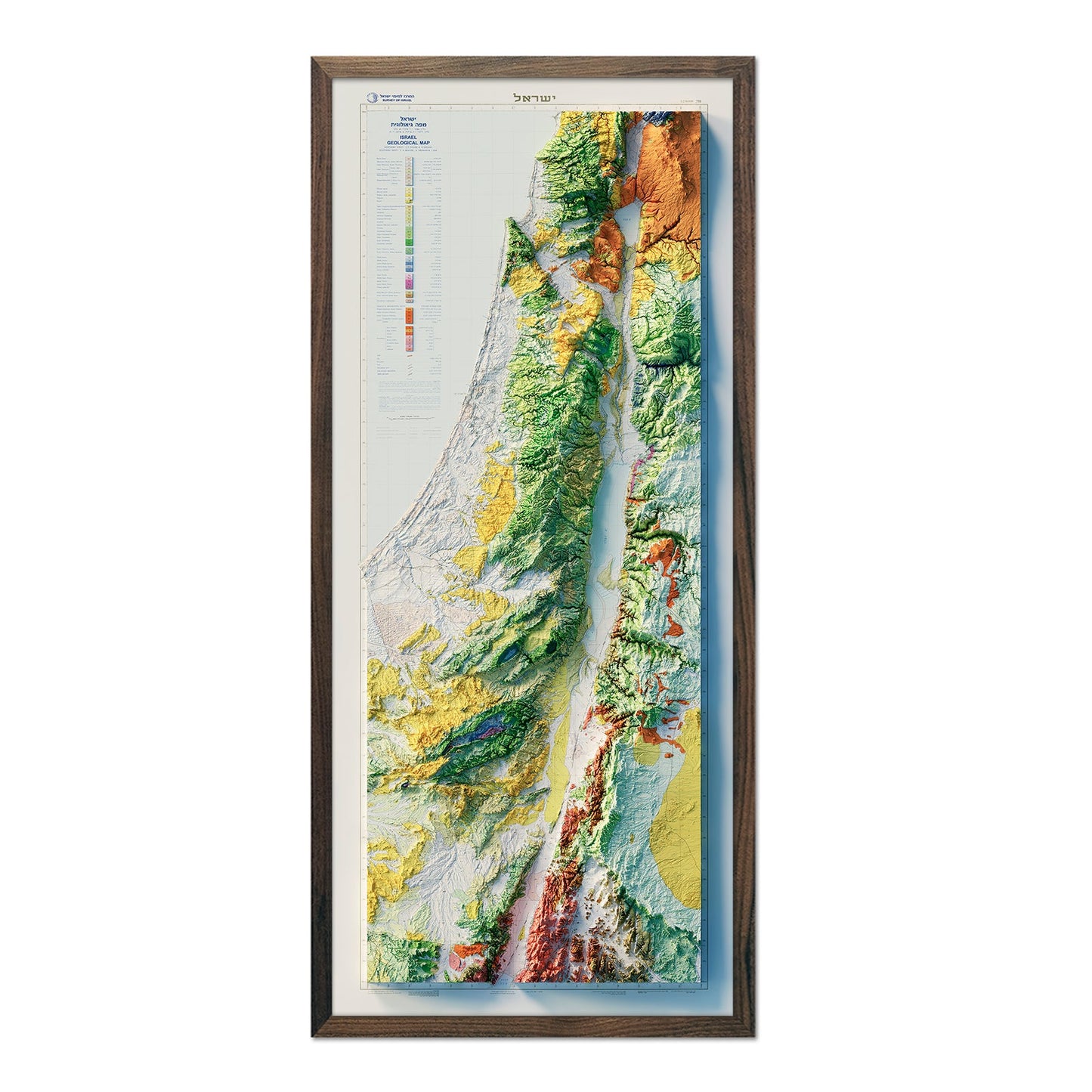 Vintage Israel Relief Map - 1965