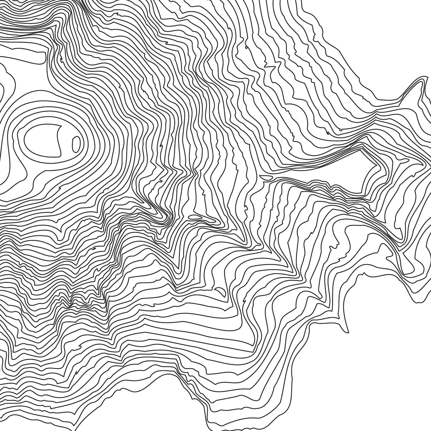 Mt Rainier Topo Map