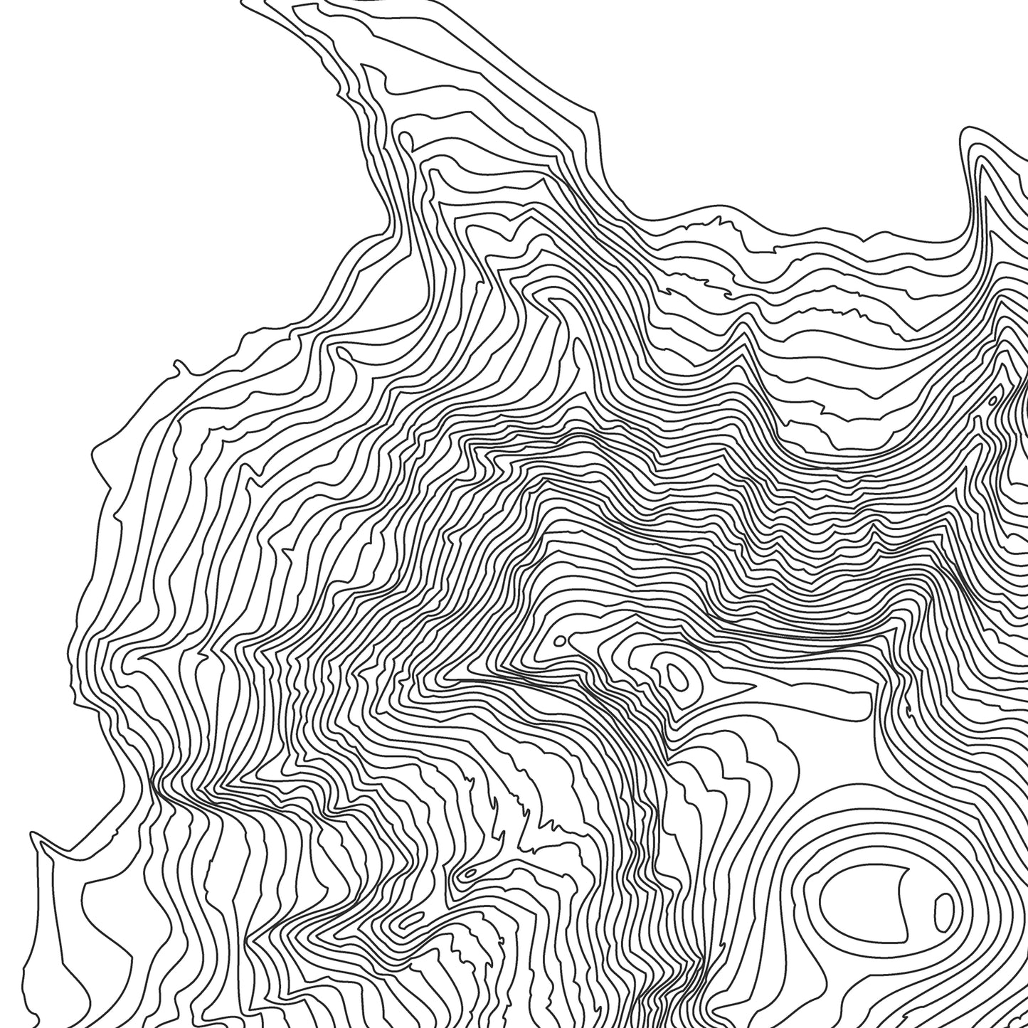 Mt Rainier Topo Map