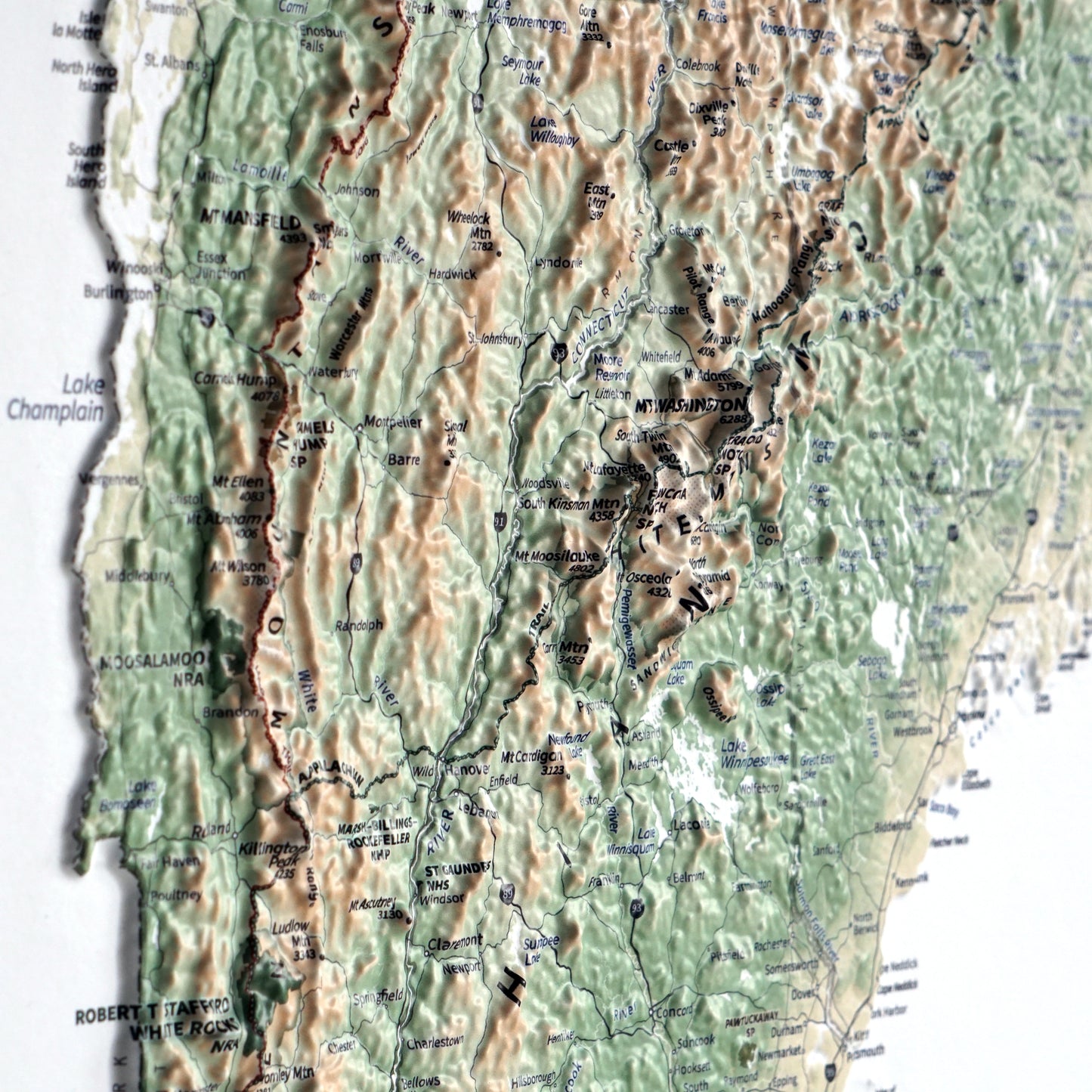 New England 3D Raised Relief Map