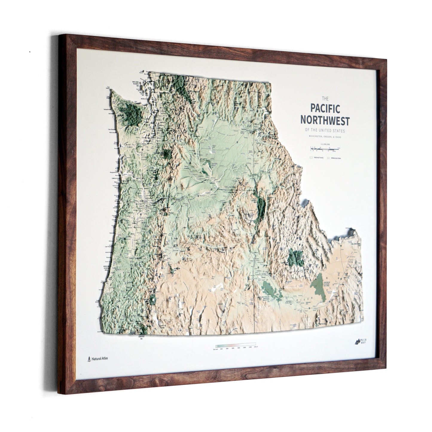 Pacific Northwest 3D Raised Relief Map