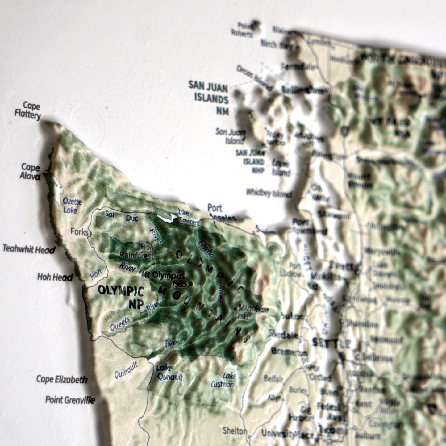 Pacific Northwest 3D Raised Relief Map