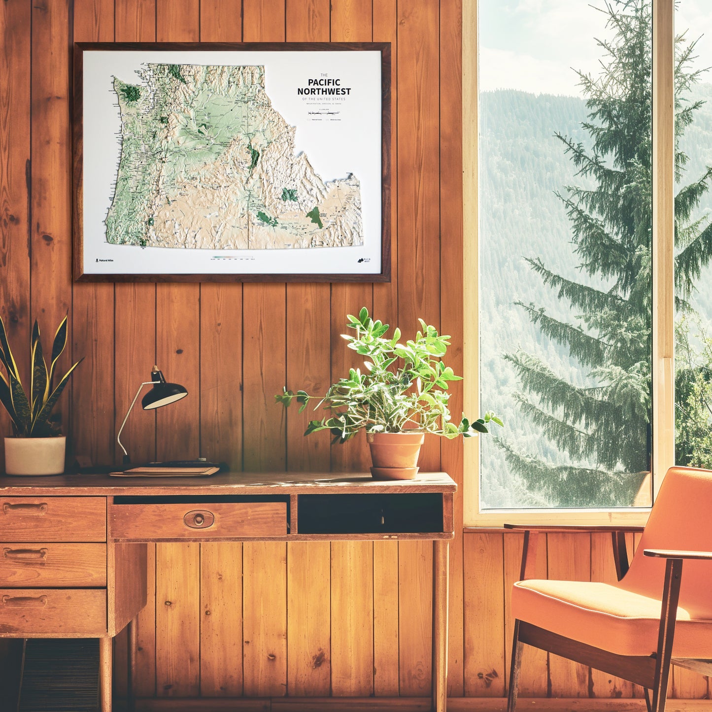 Pacific Northwest 3D Raised Relief Map