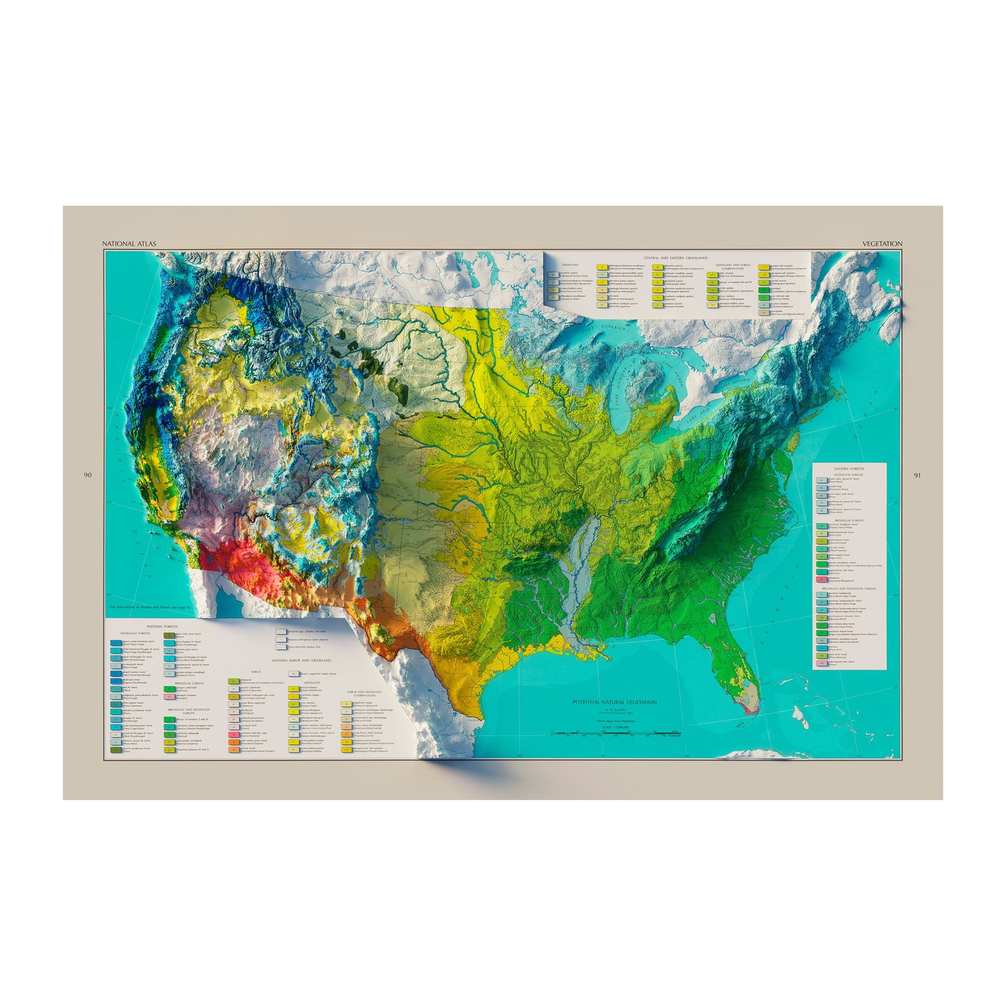 Vintage 1970 Relief Map of US Natural Vegetation