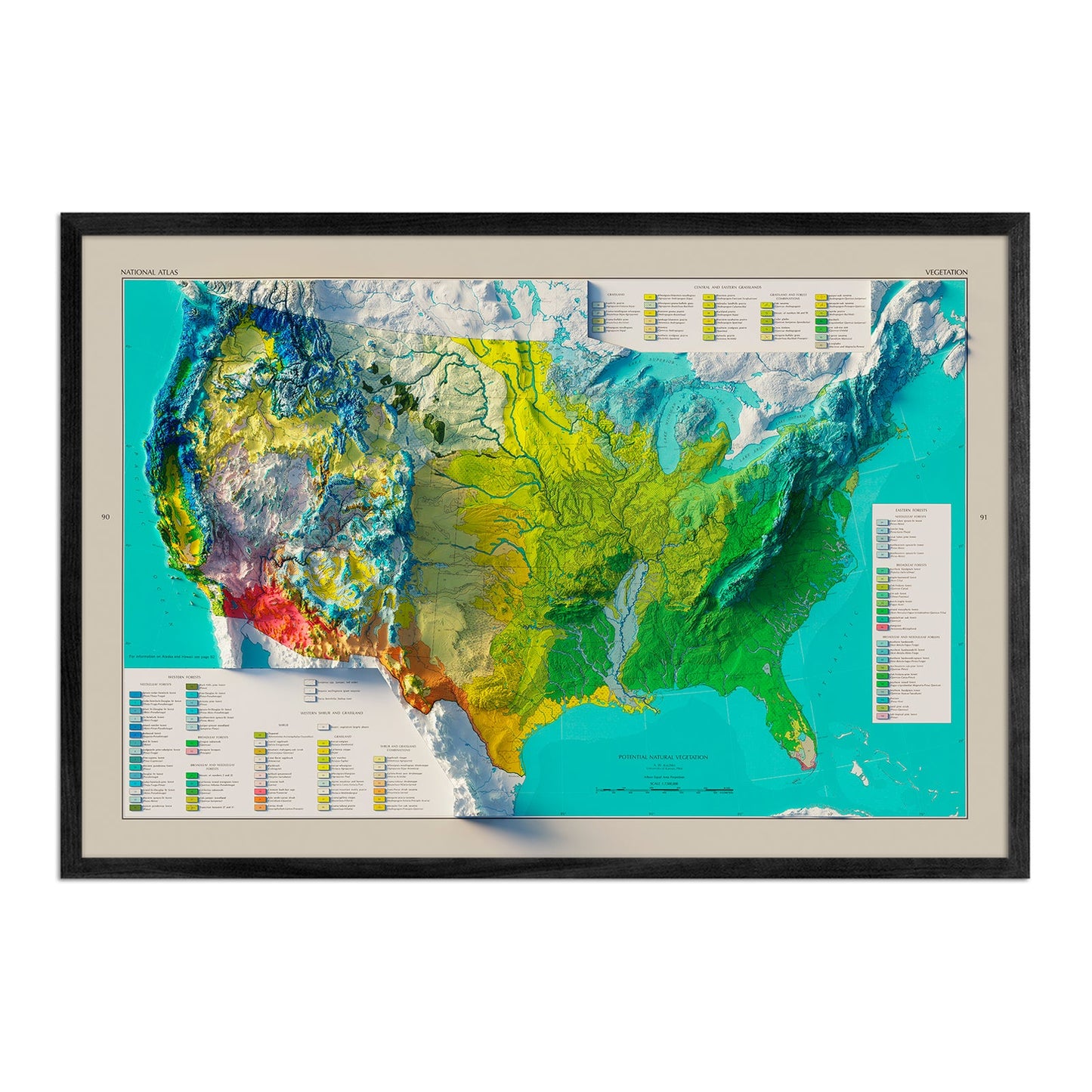 Vintage 1970 Relief Map of US Natural Vegetation