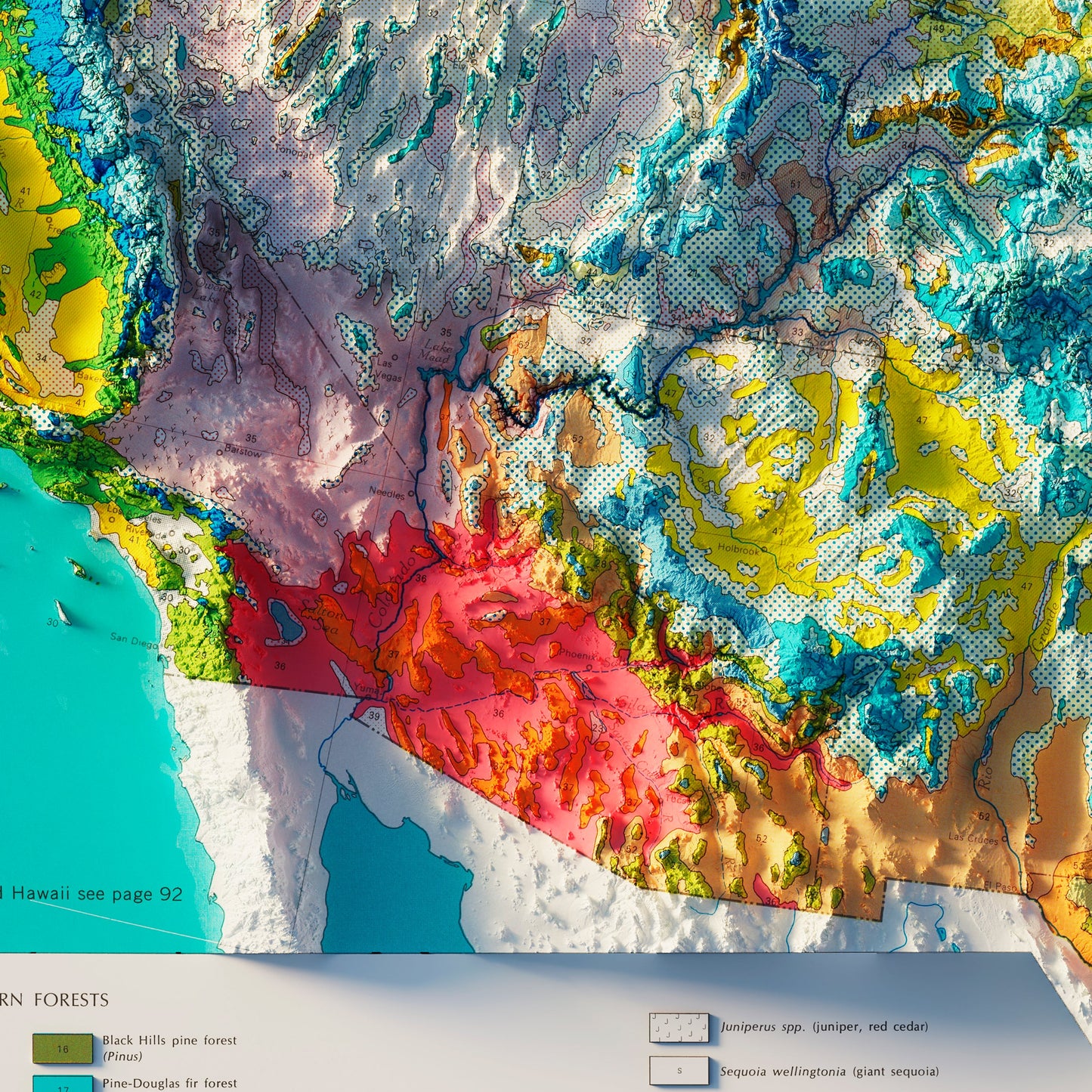 USA Natural Vegetation 1970 Shaded Relief Map