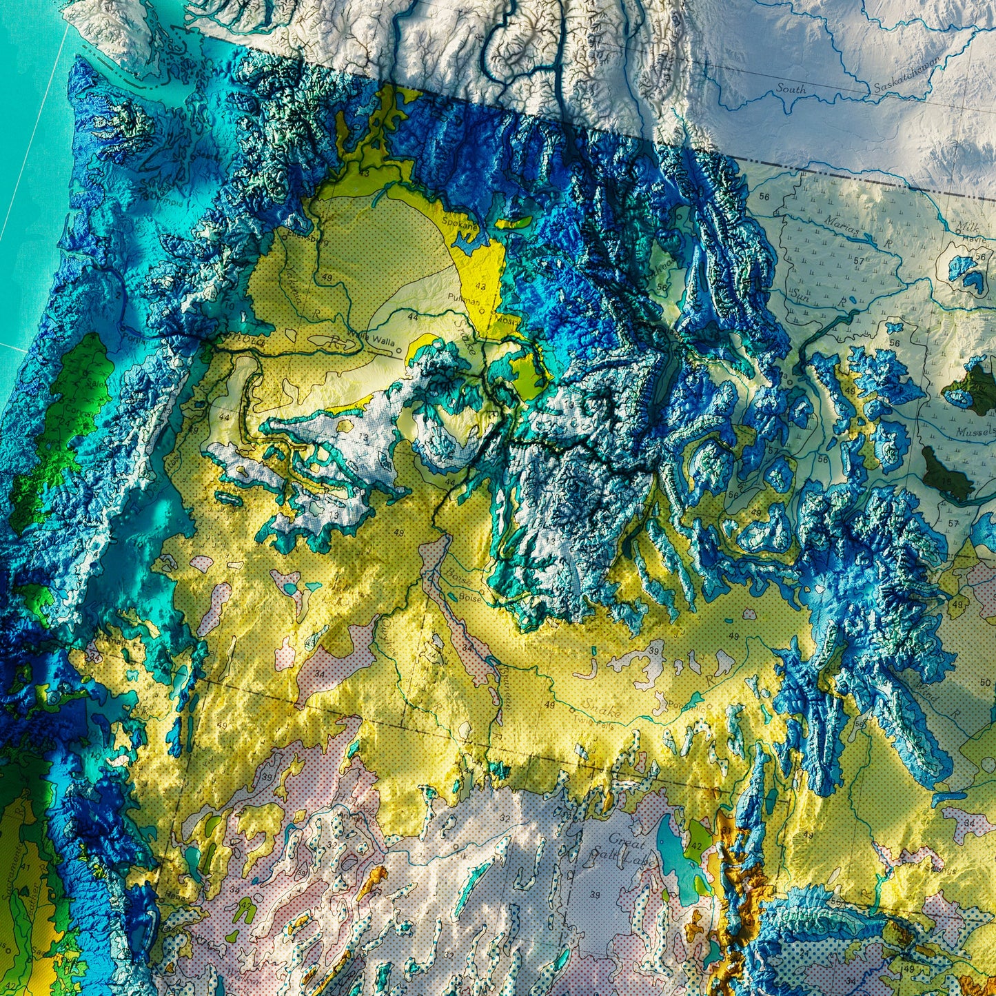 USA Natural Vegetation 1970 Shaded Relief Map
