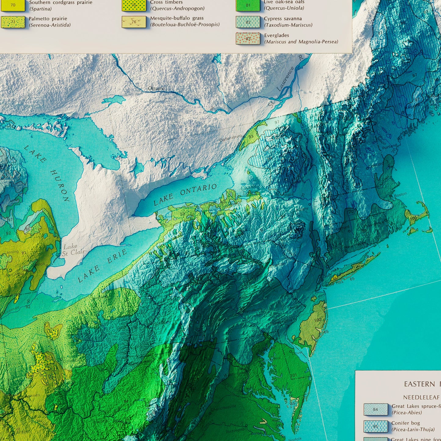 USA Natural Vegetation 1970 Shaded Relief Map