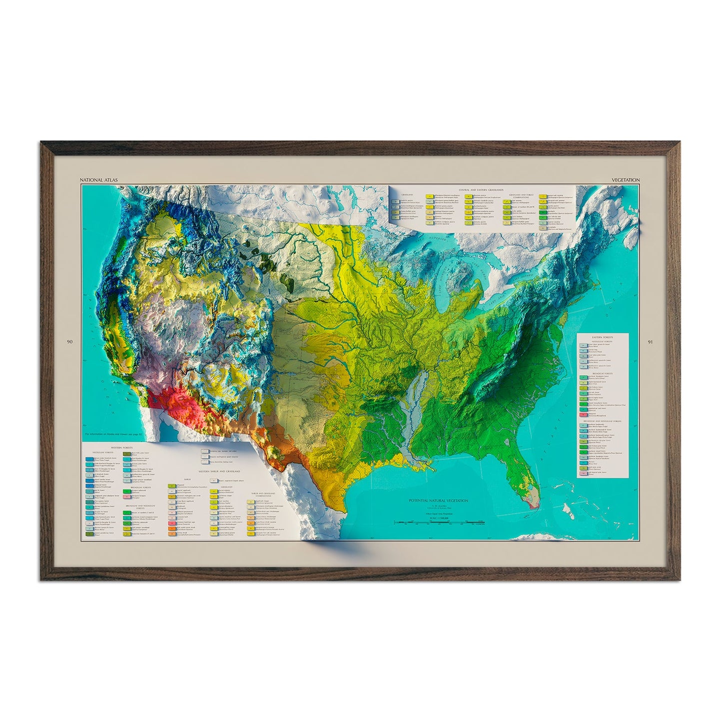 Vintage 1970 Relief Map of US Natural Vegetation