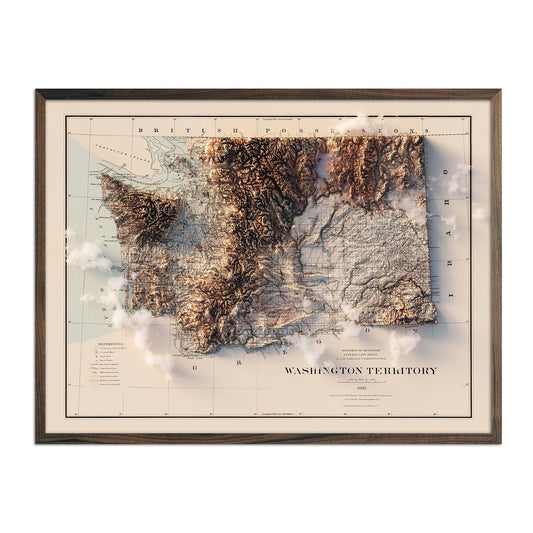 Vintage Washington Relief Map - 1883
