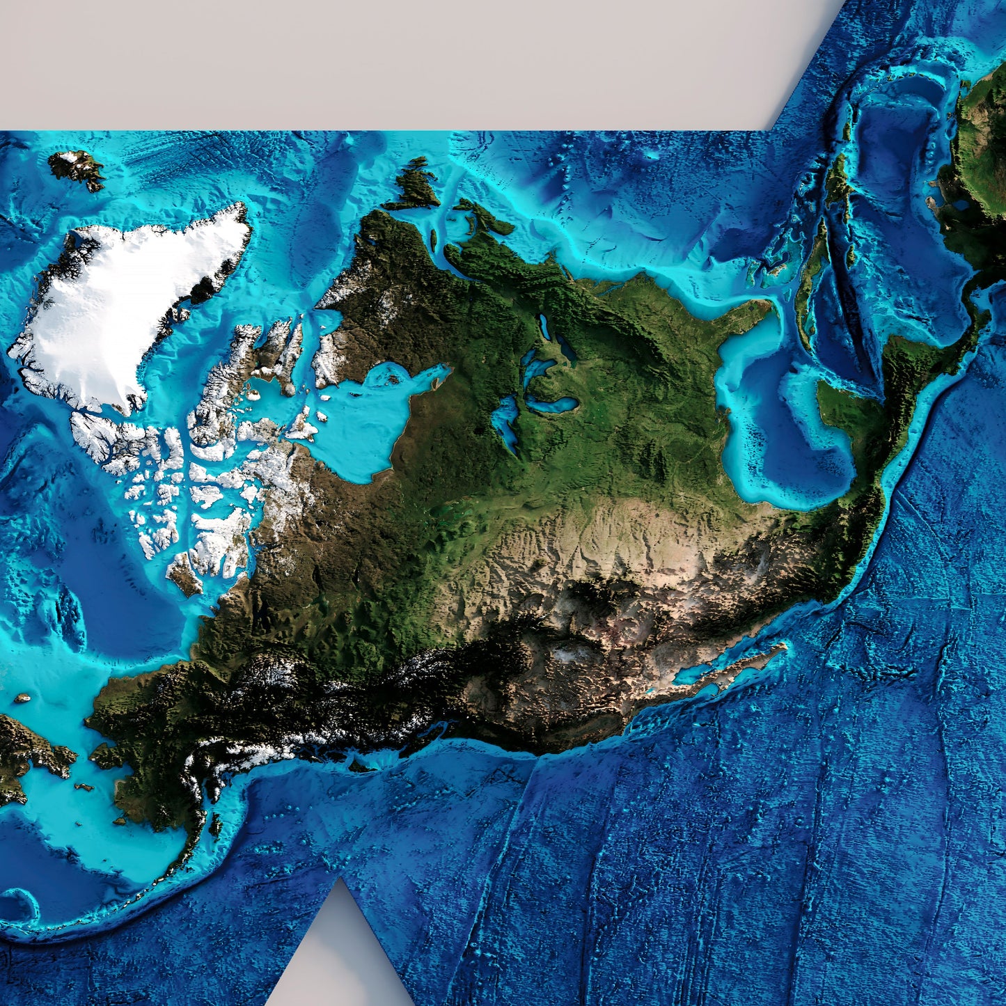 World Shaded Relief Map (Dymaxion Map)