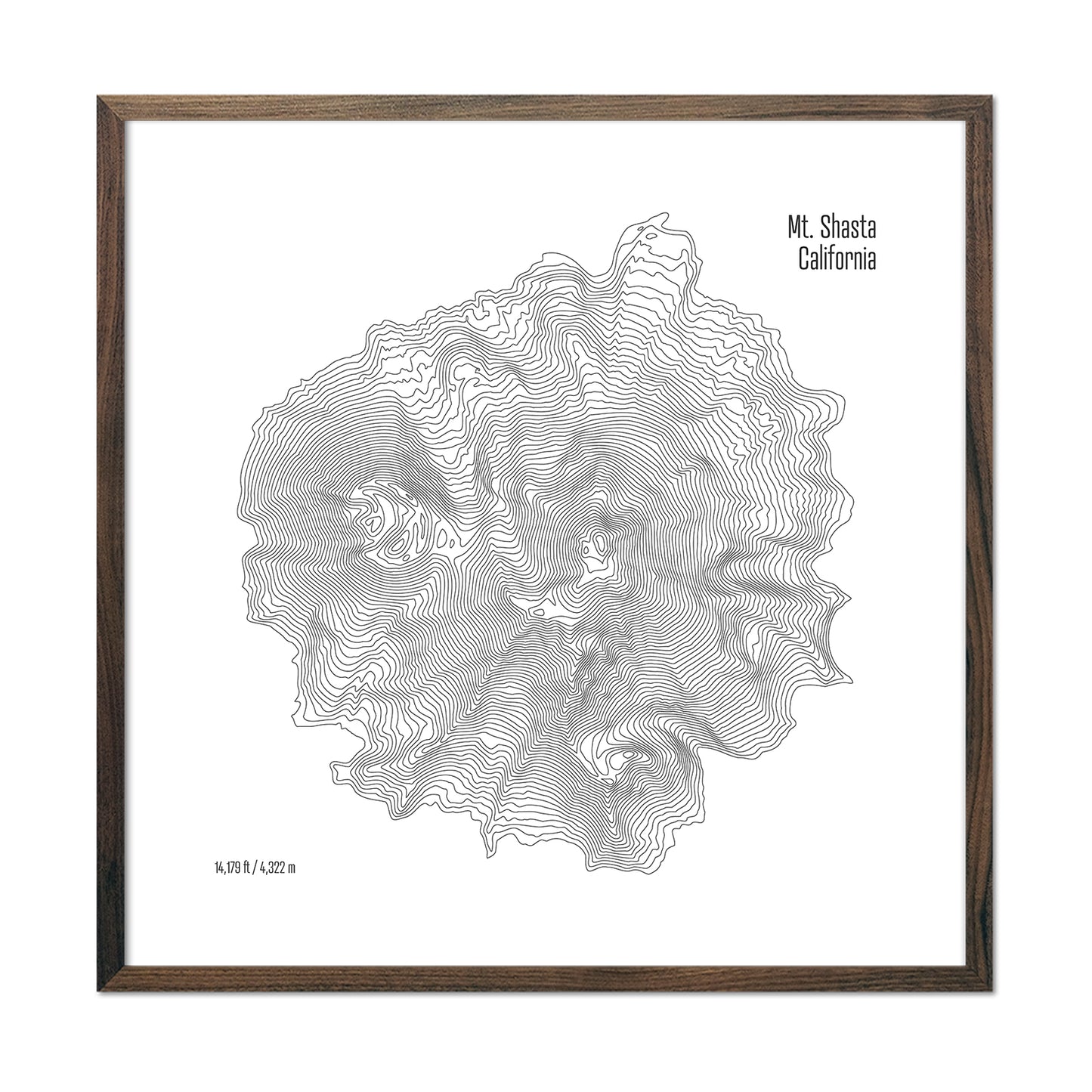Mt Shasta Topo Map