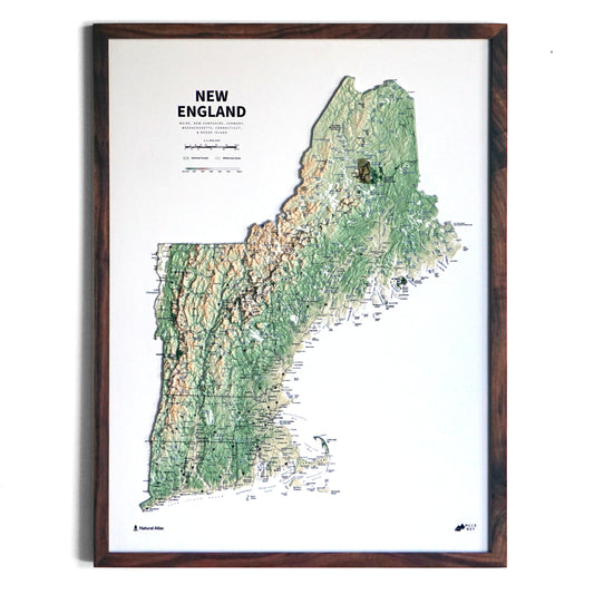 New England 3D Raised Relief Map