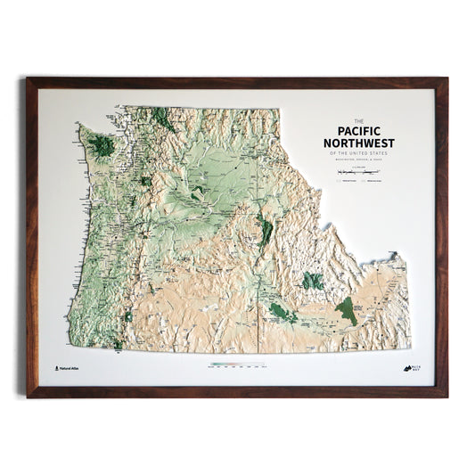 Pacific Northwest 3D Raised Relief Map