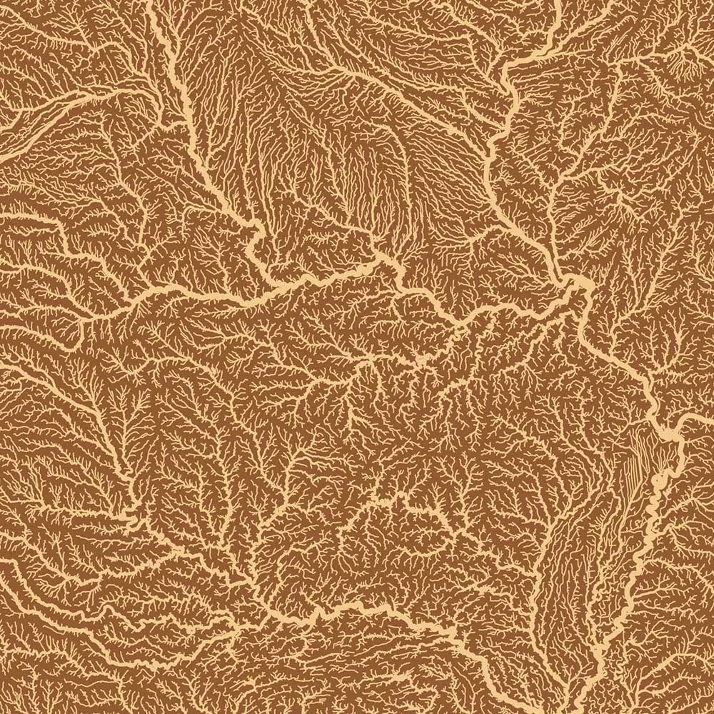 USA Hydrological Map – Desert Tan